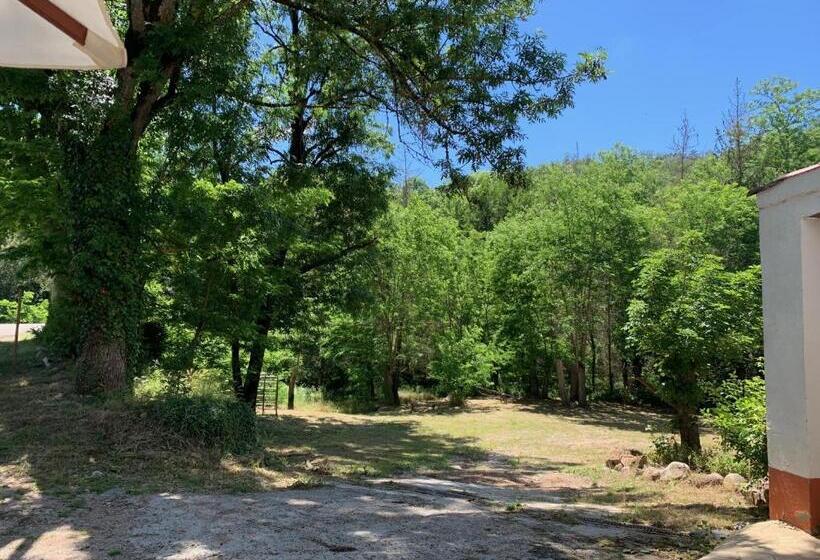 פנסיון Hostal Rural Can Enric