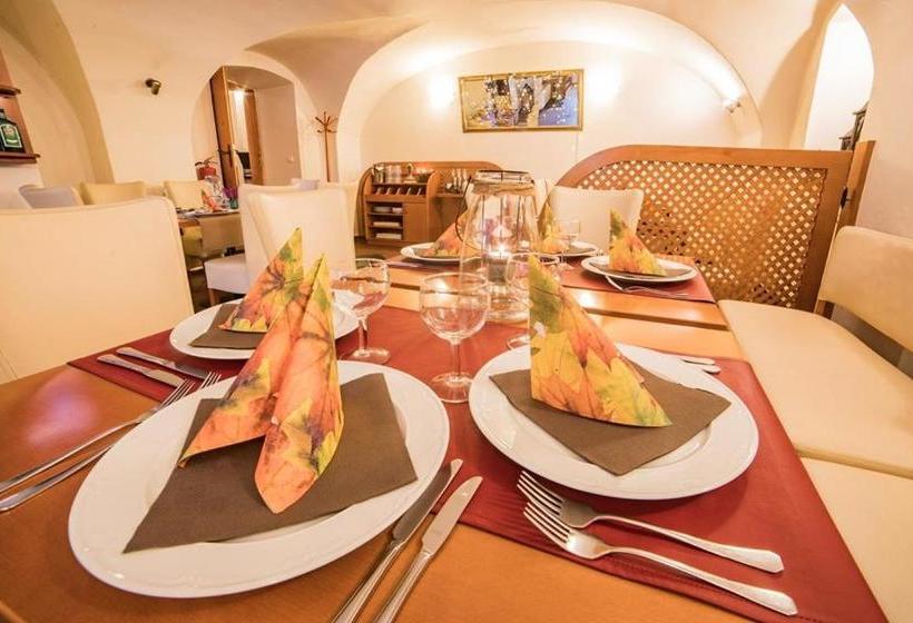 Pension Penzion Pod Zamkem