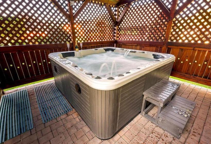 بنسيون Penzion Sonja