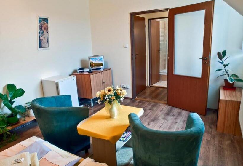 פנסיון Penzion U šeliho