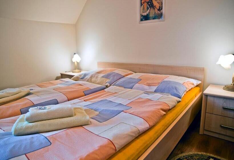 פנסיון Penzion U šeliho