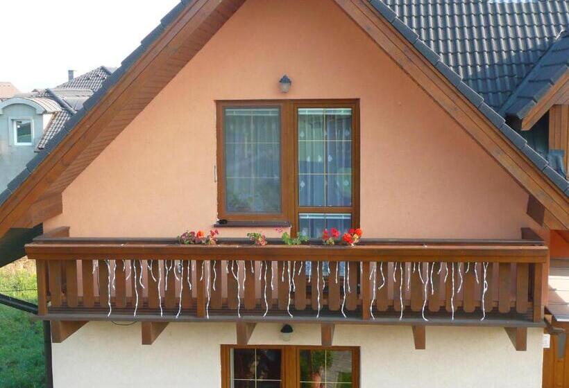 פנסיון Penzion U šeliho