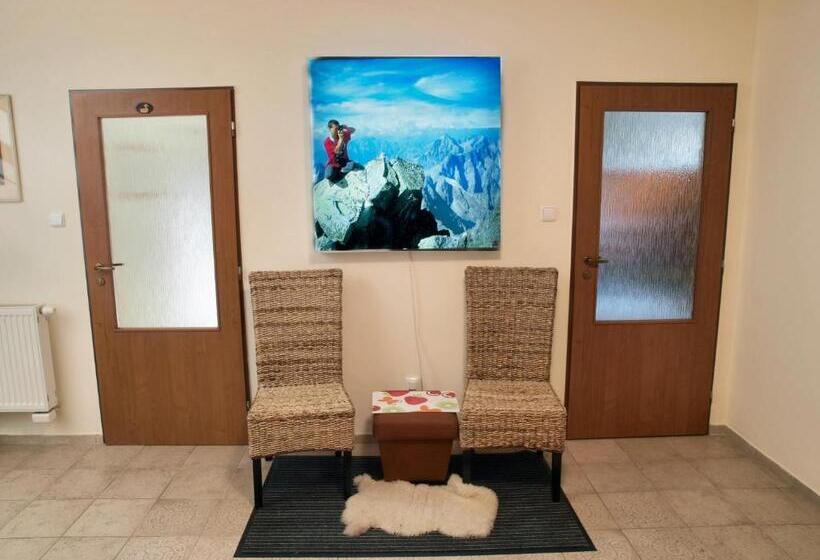 פנסיון Penzion U šeliho