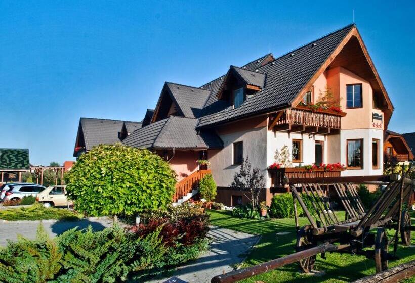 פנסיון Penzion U šeliho