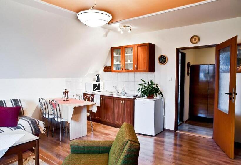 פנסיון Penzion U šeliho