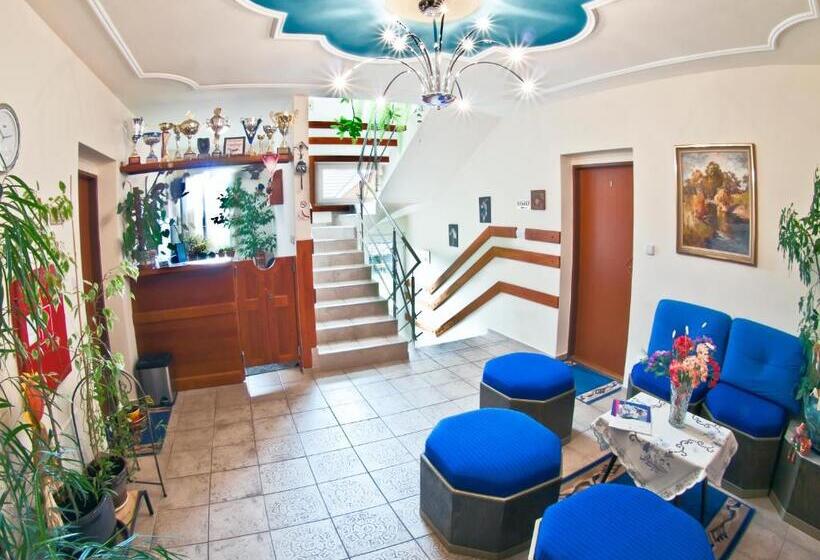 פנסיון Penzion U šeliho