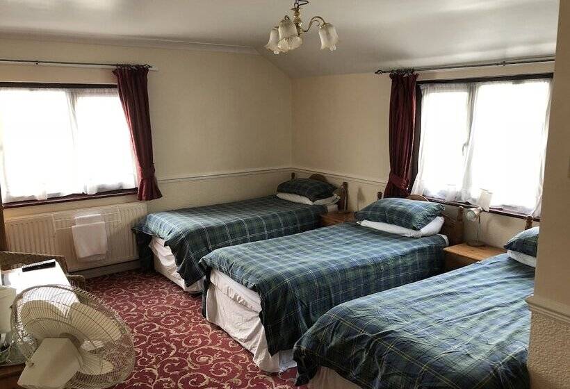 ペンション The New Inn Guest House