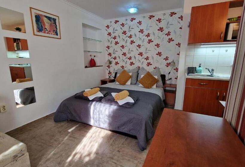 ペンション Veronika Villa