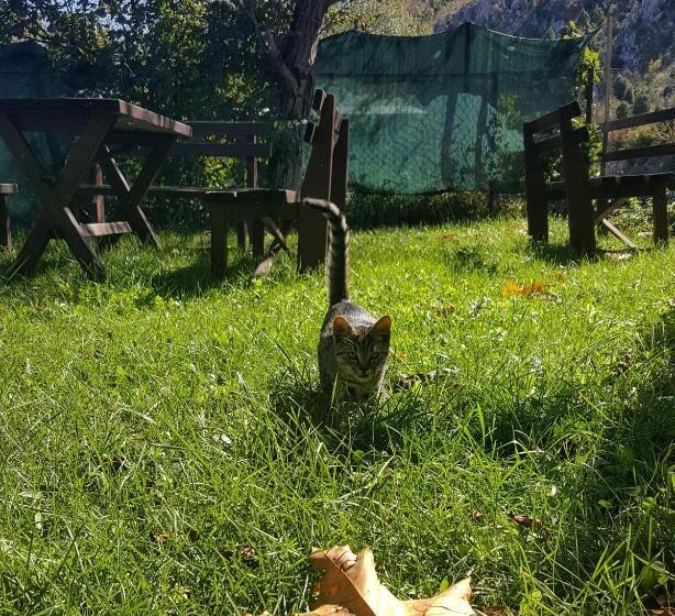 پانسیون Villa Velagic