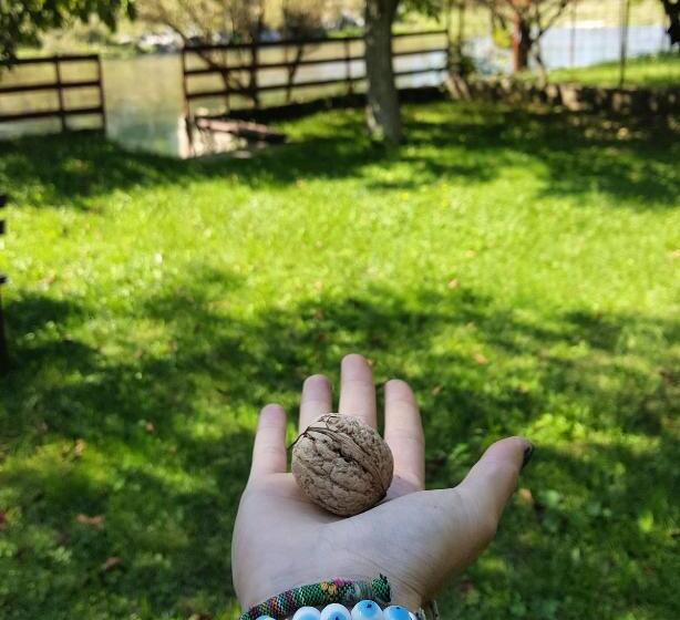 پانسیون Villa Velagic