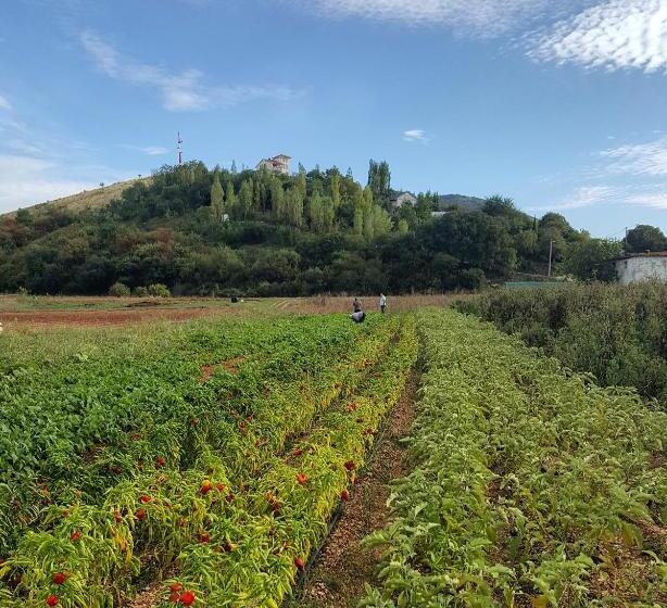 پانسیون Villa Velagic