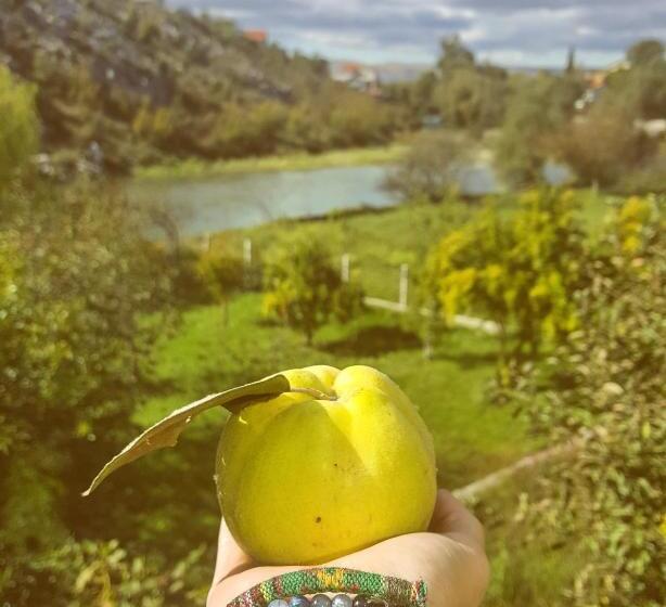 پانسیون Villa Velagic