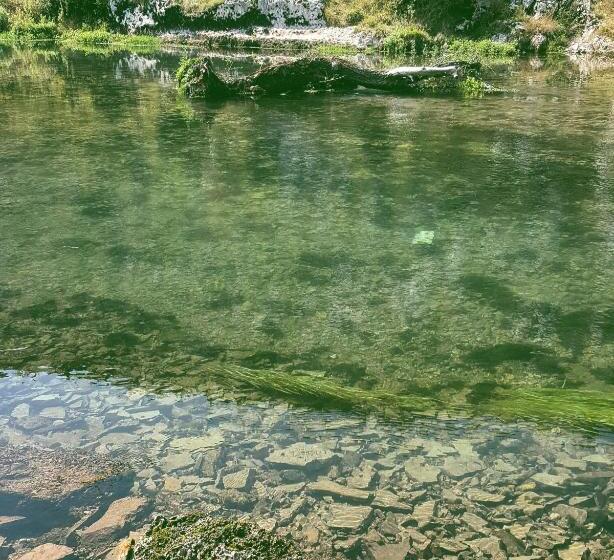 پانسیون Villa Velagic