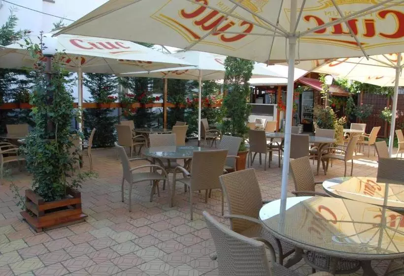 Pensiunea Turistica Europa