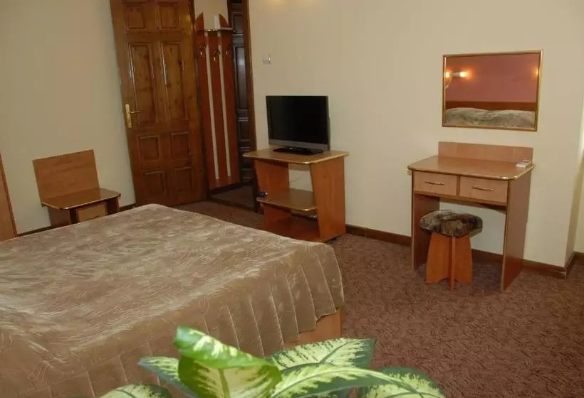 Pensiunea Turistica Europa