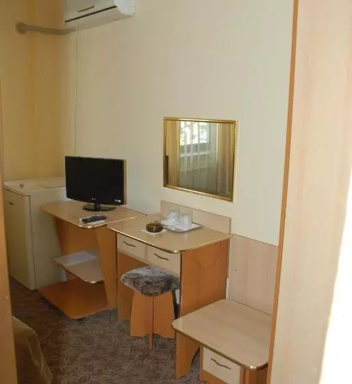 Pensiunea Turistica Europa