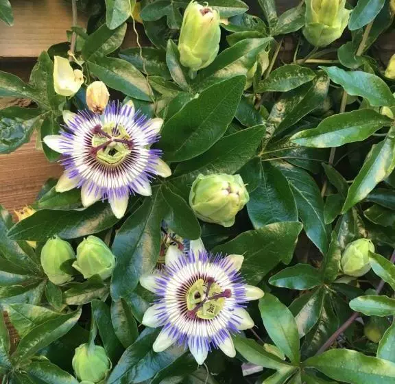 Retkeilymaja B&b De Wadvaarder