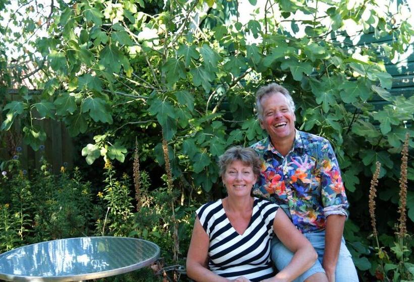 旅馆 B&b De Wadvaarder