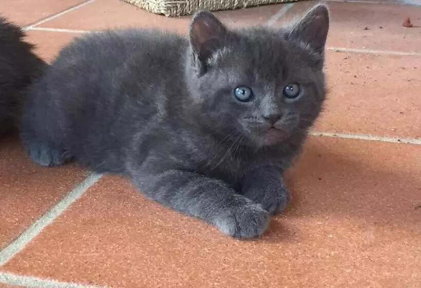 ホテル Agriturismo Le Cascatelle