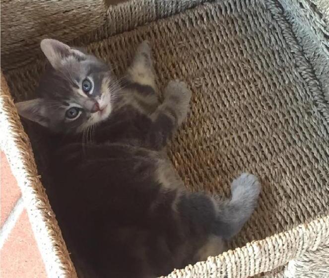 בית מלון כפרי Agriturismo Le Cascatelle