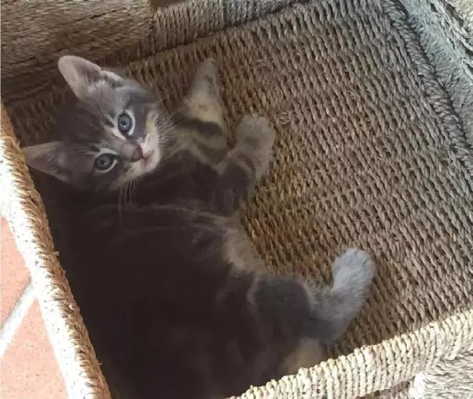 ホテル Agriturismo Le Cascatelle