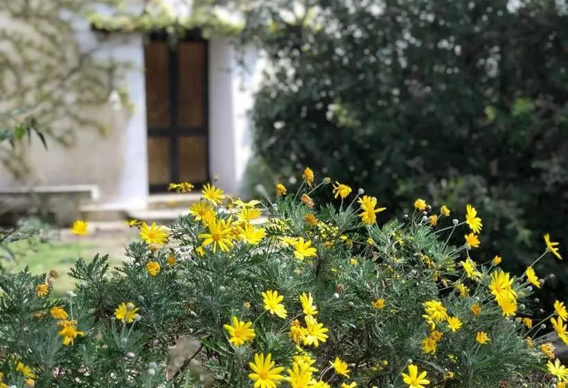 ホテル Masseria La Torre
