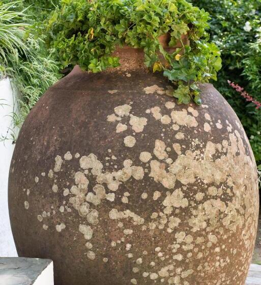 酒店 Monte Dos Pensamentos   Turismo Rural