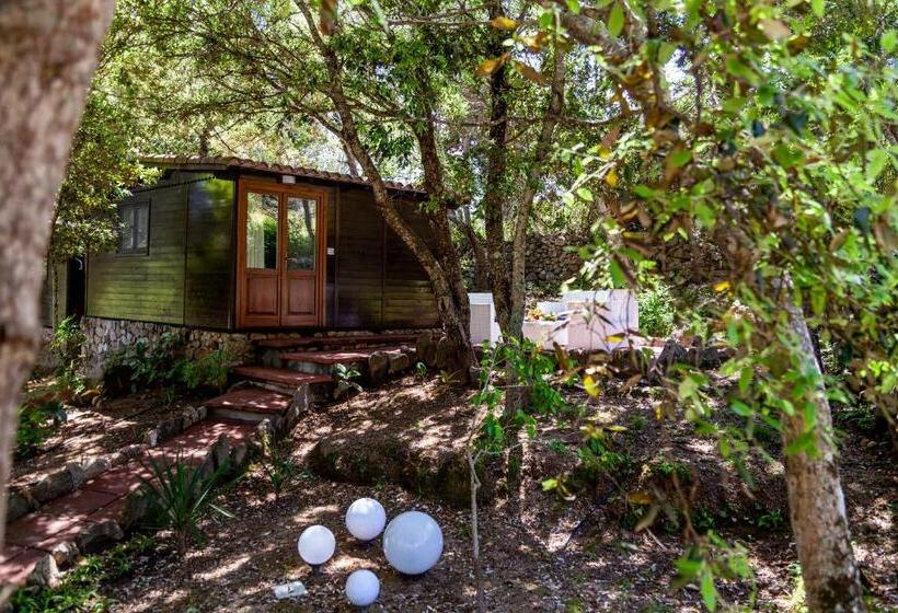 בית מלון כפרי Casa Saltara