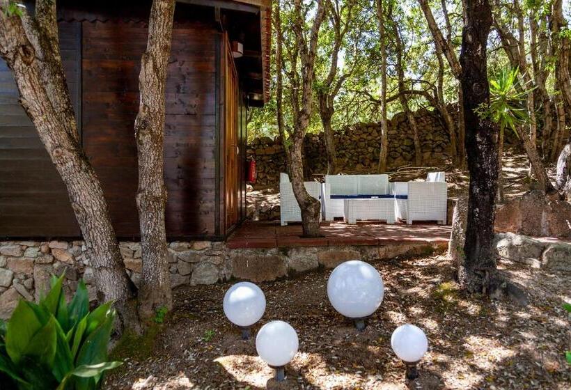 בית מלון כפרי Casa Saltara