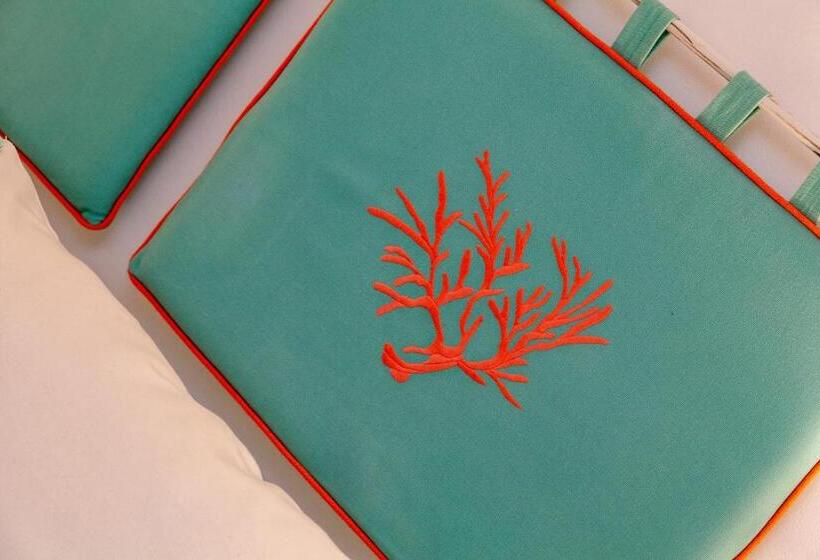 בית מלון כפרי Casa Saltara