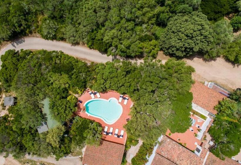 בית מלון כפרי Casa Saltara