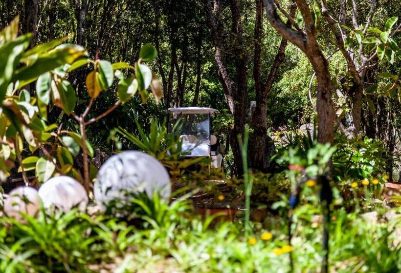 בית מלון כפרי Casa Saltara