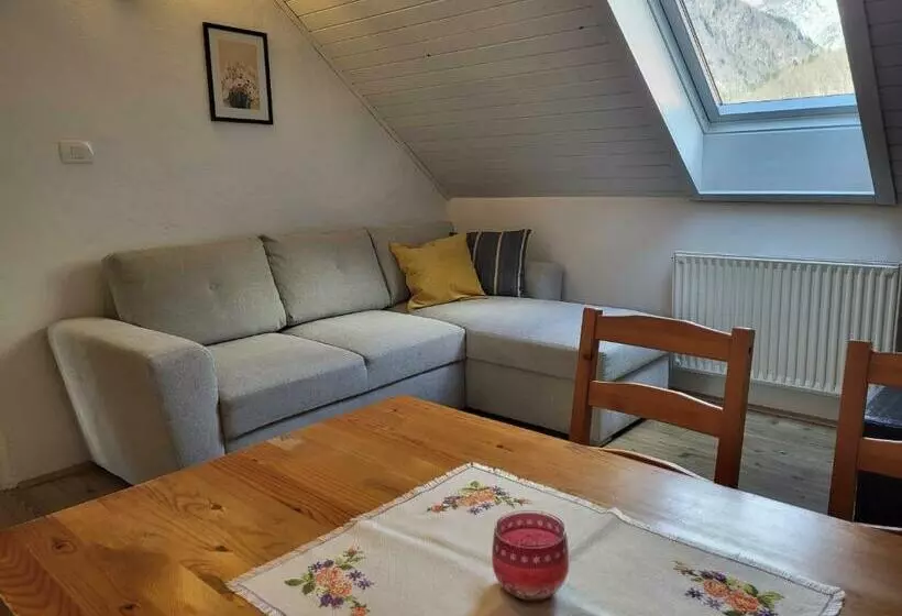 پانسیون Apartments & Hostel Bohinj