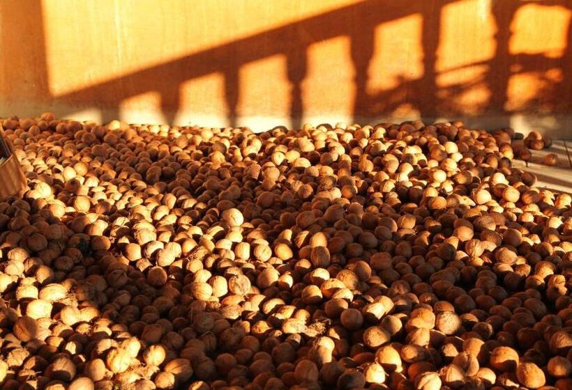 بنسيون Dedo Pene Inn