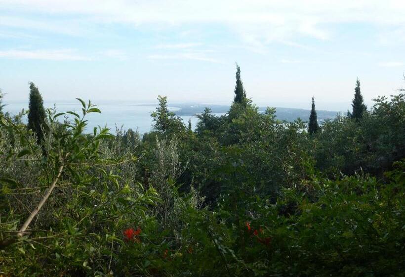 پانسیون Ha Mar Ao Luar