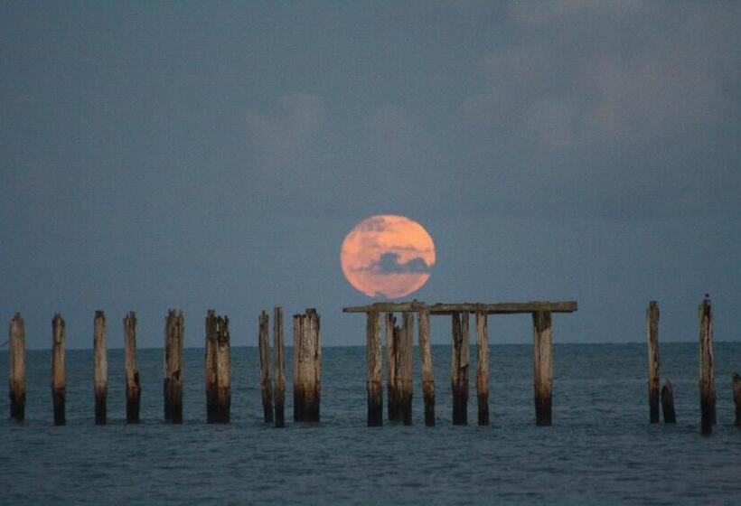 פנסיון Pousada Areia Preta