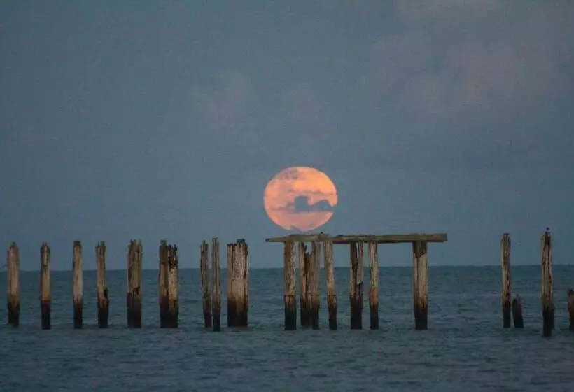 ペンション Pousada Areia Preta