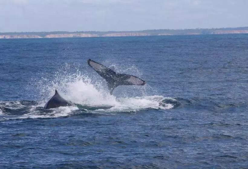 ペンション Pousada Areia Preta