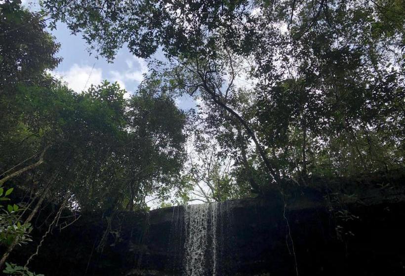 پانسیون Pousada Jardim Da Chapada