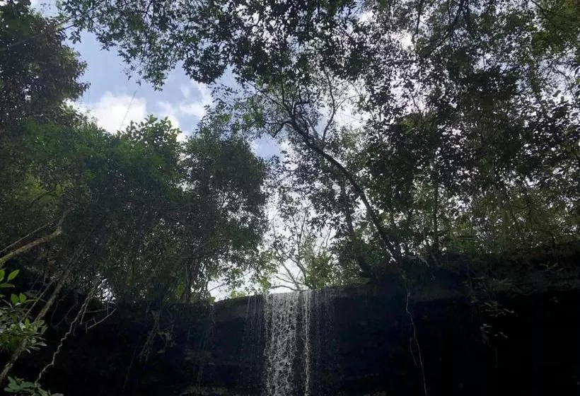 ペンション Pousada Jardim Da Chapada