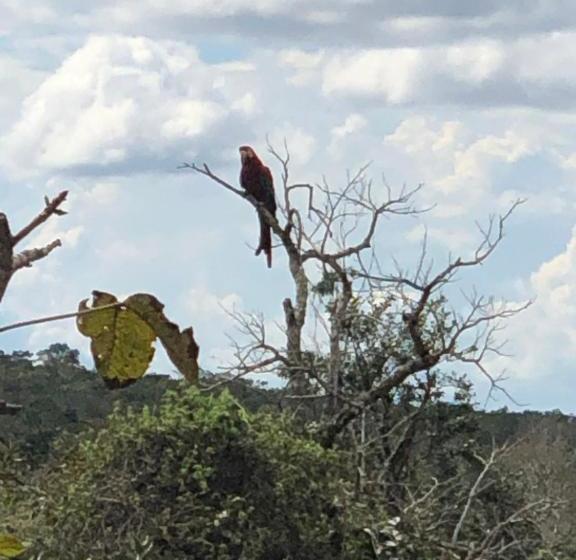 پانسیون Pousada Jardim Da Chapada