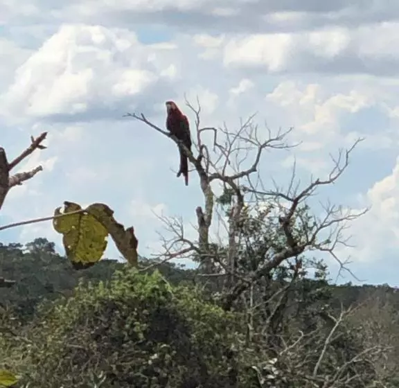 ペンション Pousada Jardim Da Chapada