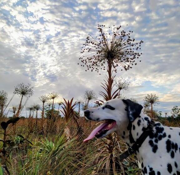 پانسیون Pousada Jardim Da Chapada