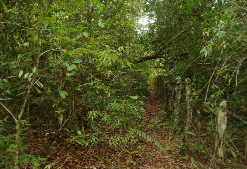 پانسیون Pousada Jardim Da Chapada