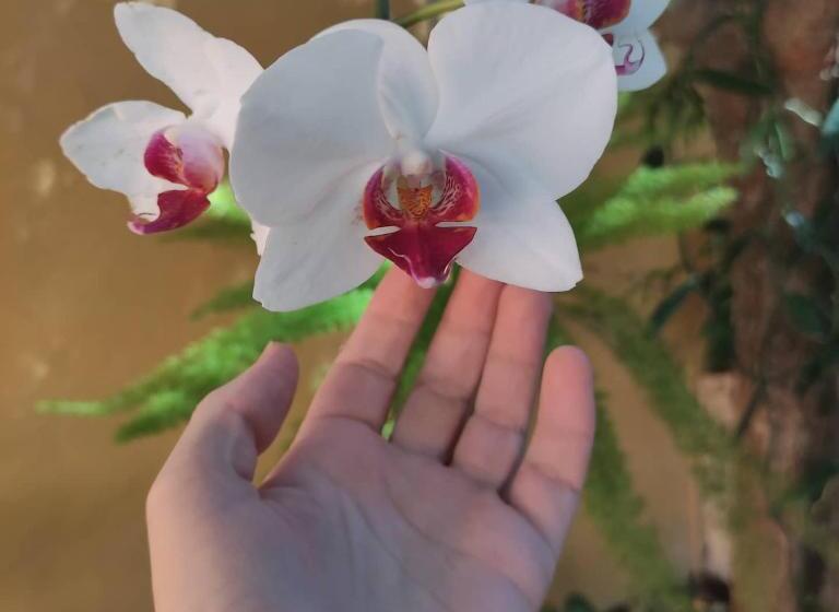 Panzió Templários Ecovilla Pousada