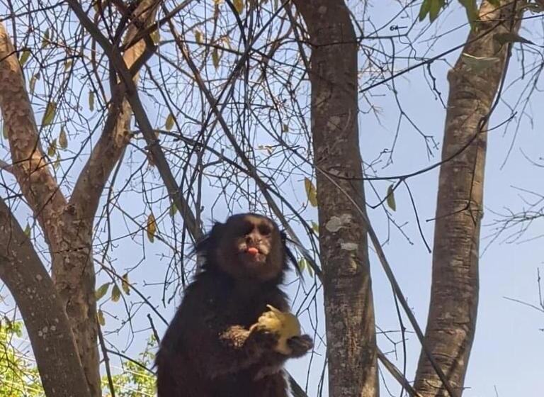 Panzió Templários Ecovilla Pousada