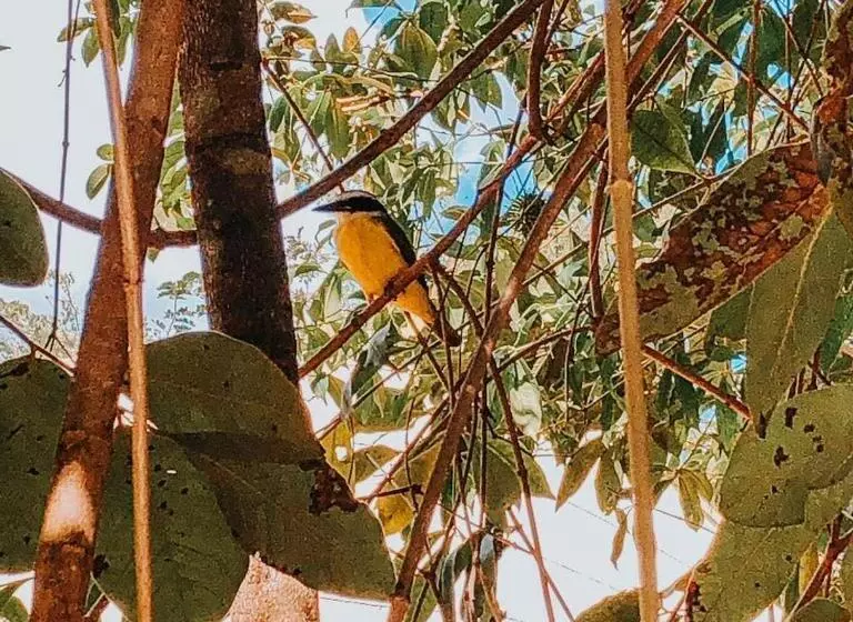ペンション Templários Ecovilla Pousada