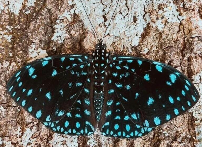 Panzió Templários Ecovilla Pousada