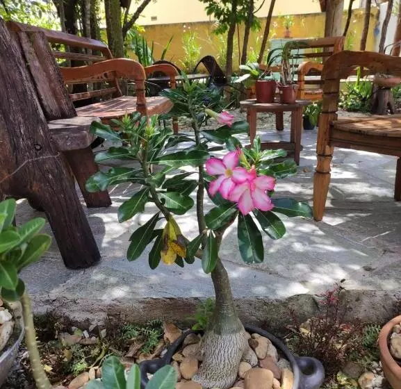 ペンション Templários Ecovilla Pousada