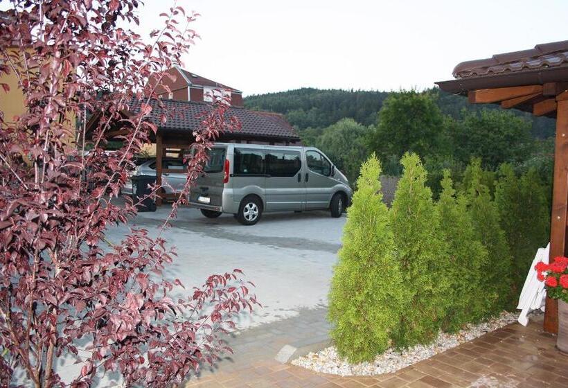 بنسيون Villa Walir   Spa Hotel Garni Superior